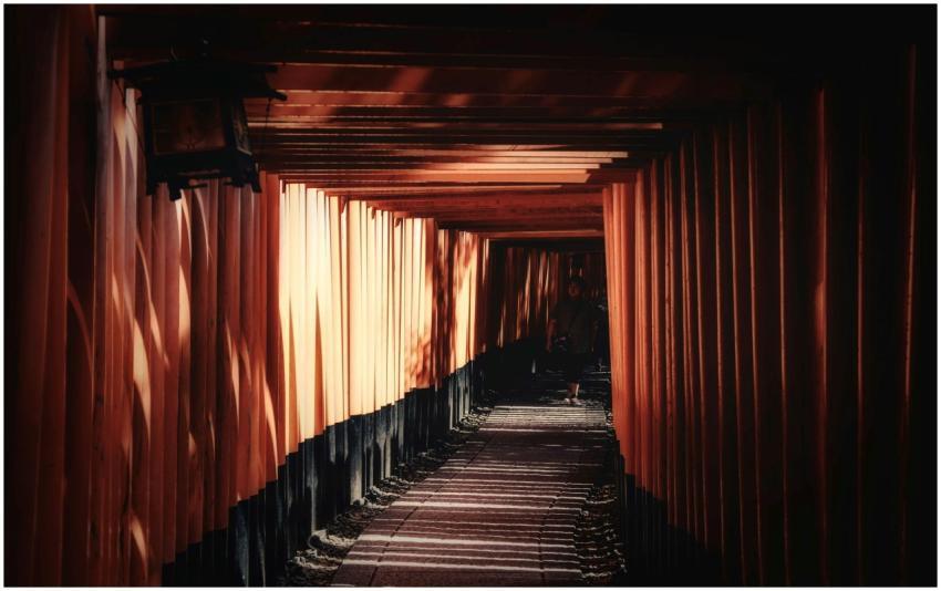 Explore the iconic red torii gates of Fushimi Inar