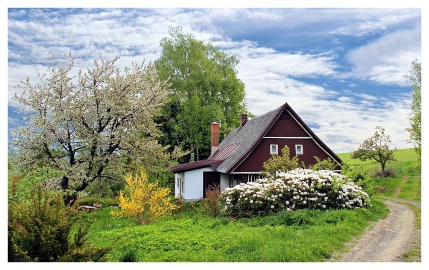 Cottage Trees Path Trail