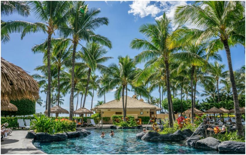 Relaxing tropical resort scene with palm trees, sw