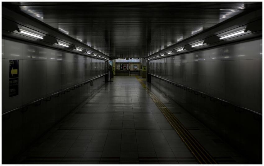 Free stock photo of dark, japan, kyoto