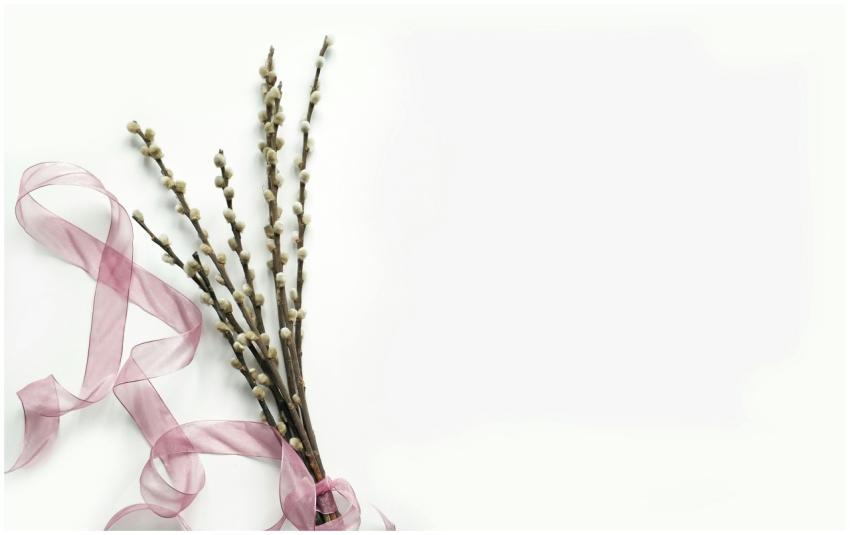 Photograph of pussy willow branches tied with a pi