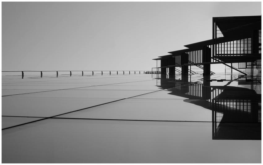A striking minimalist black and white image featur