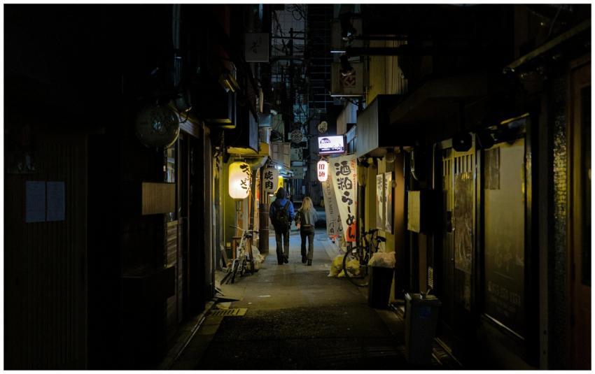 Dark Kyoto Alley