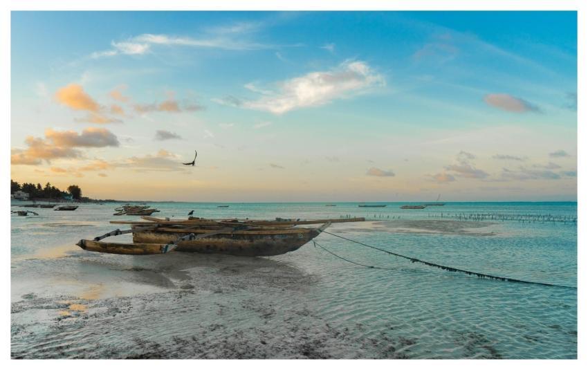 Africa Zanzibar Beach Tanzania