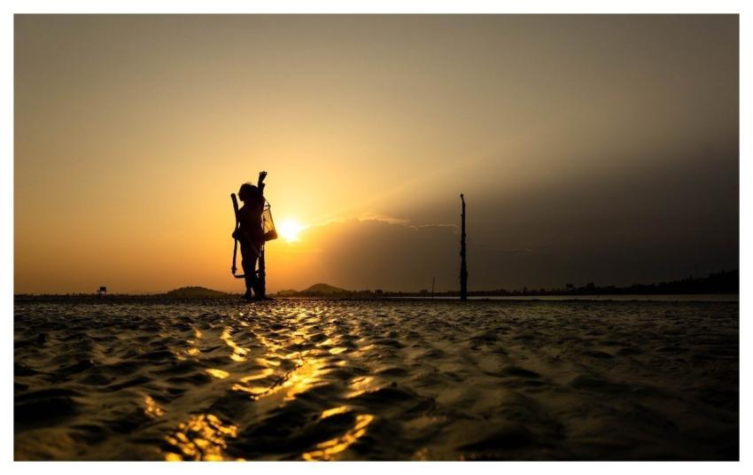 Fishing Beach Sea Summer