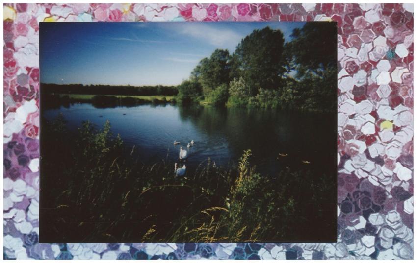 A serene lake scene with ducks captured on vintage