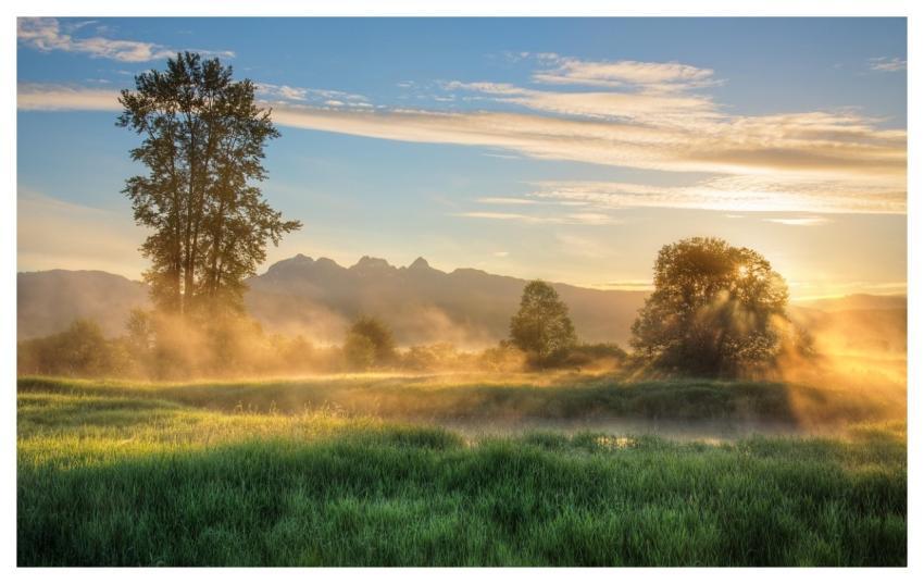 Nature Fog Travel Foggy
