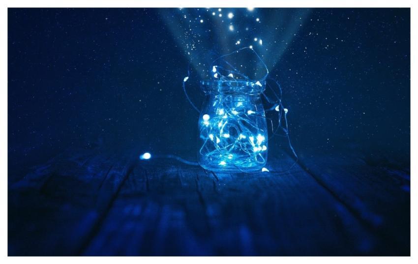 Lights Fireflies Glow Glowworms