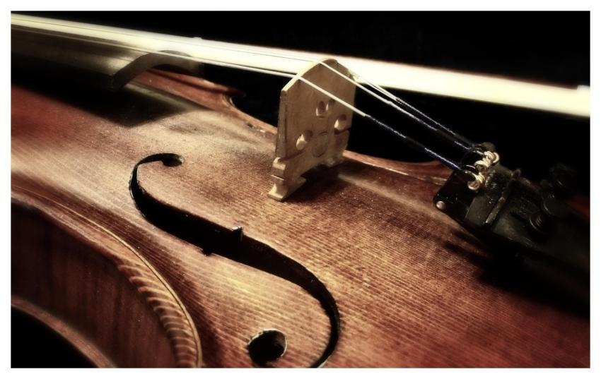 Music Violin Musical Instrument String Instrument