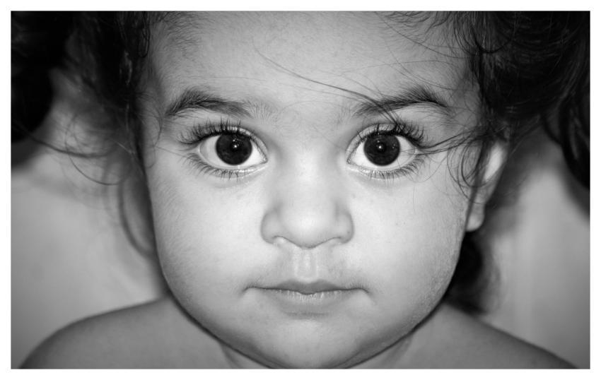 Early Childhood Education Kid Childhood Education