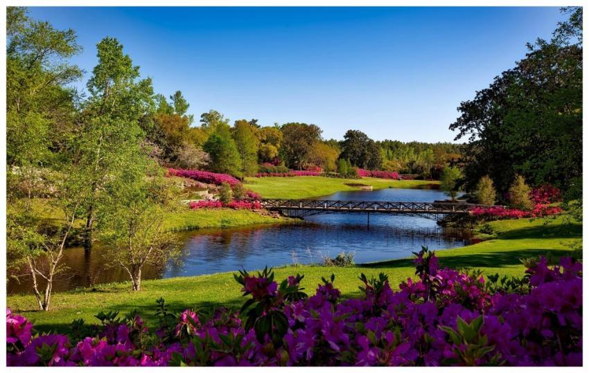 A beautiful spring garden landscape featuring vibr