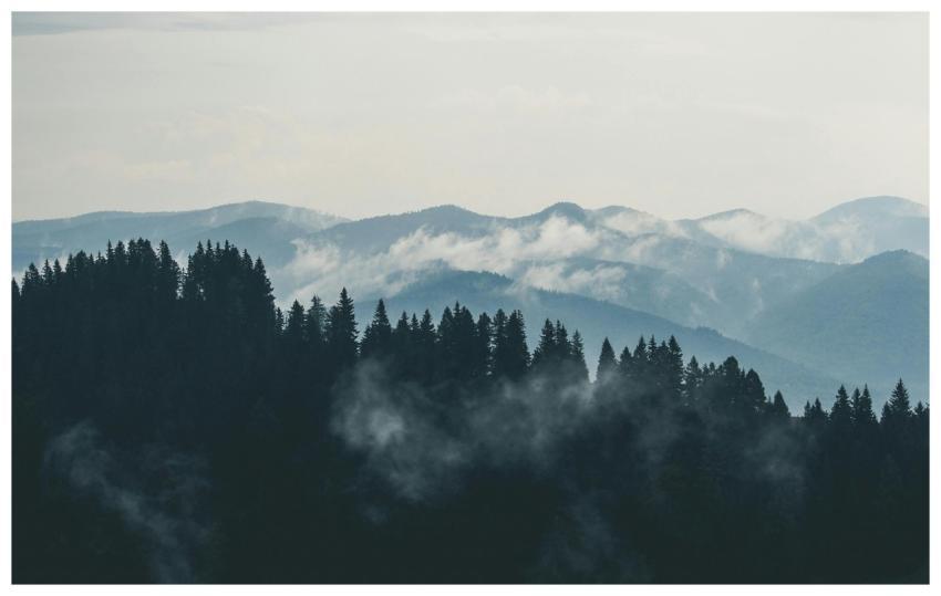 A scenic view of misty mountains and dense forest,