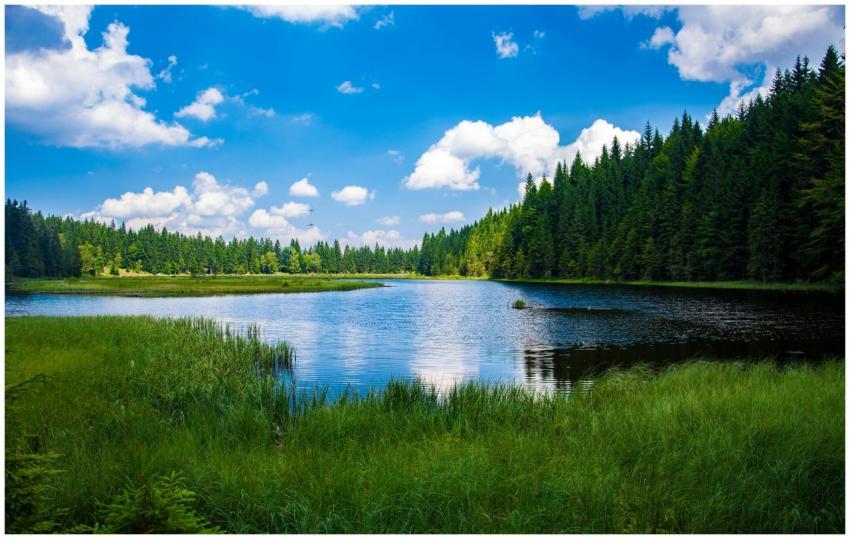 Beautiful landscape of a tranquil lake surrounded
