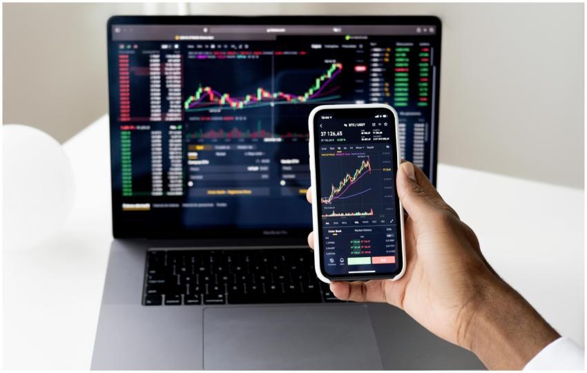 Person checking stock market graphs on laptop and