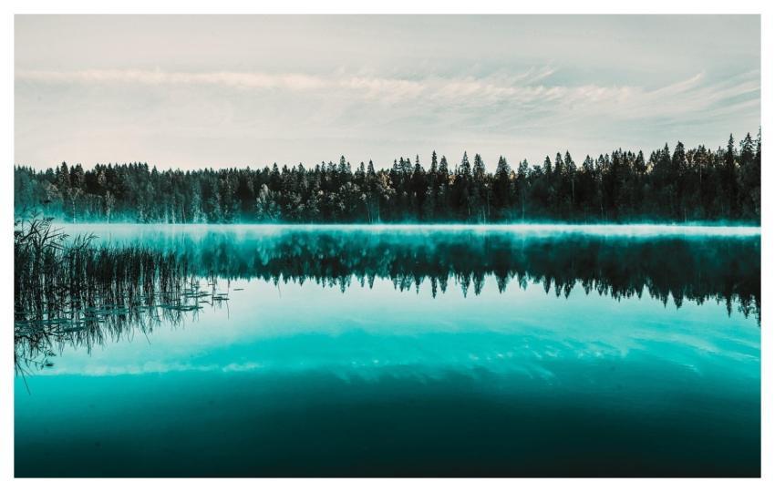 Lake Nature Landscape The Water