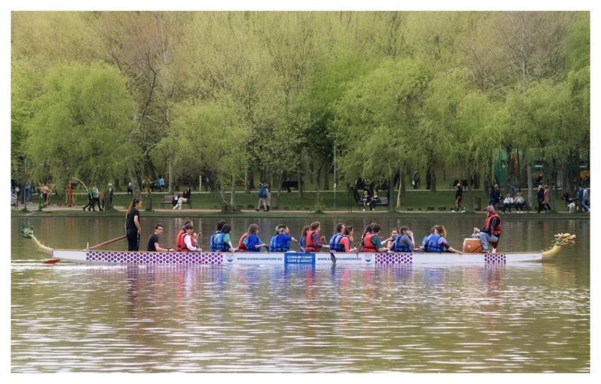 Canoe Boat People Rowing
