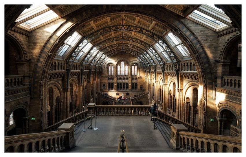 Natural History Museum London Interior Arch