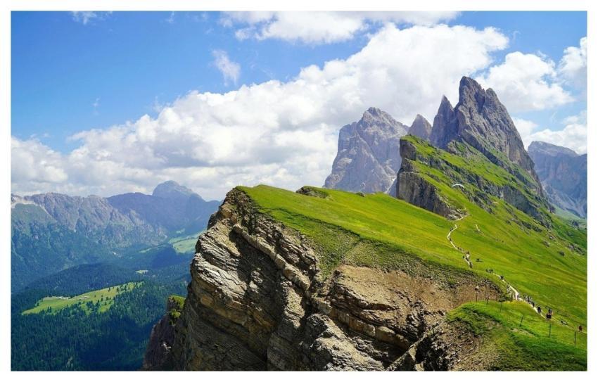 Narure Natue Nature Flower Background