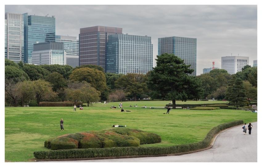 Imperial Garden Park Skyscrapers City
