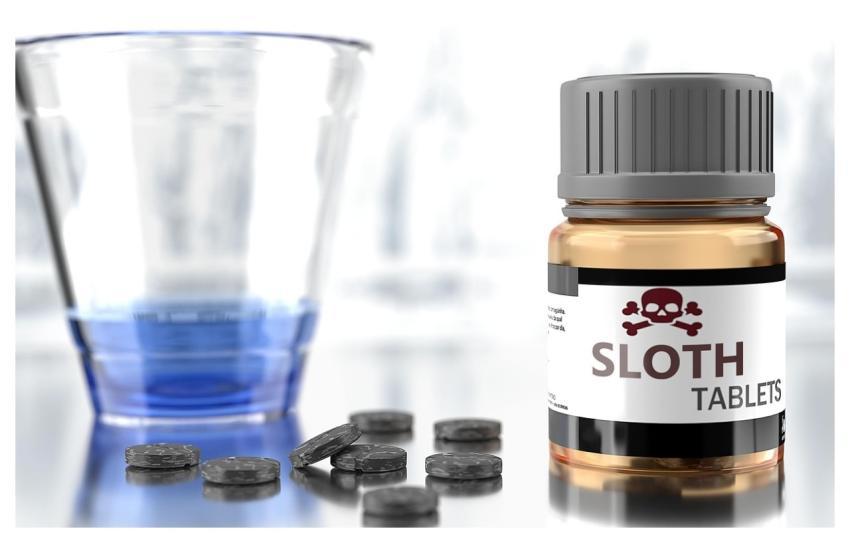 Sloth Harmful Damaging Bad