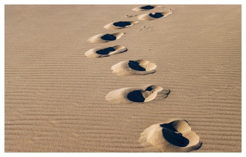 Sand Dunes Landscape Nature