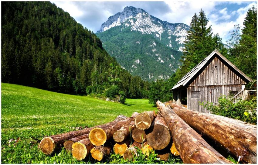 A scenic view of a wooden cabin against lush mount