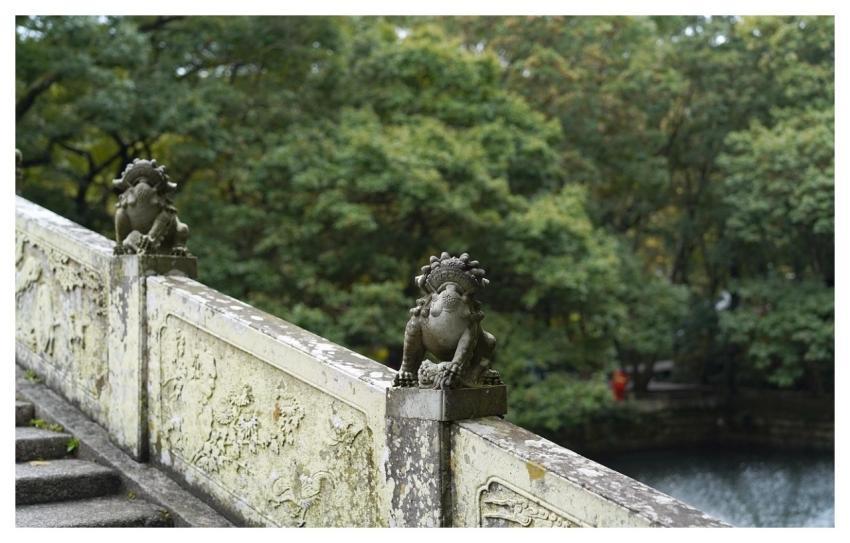 Sculpture Lion Temple Art