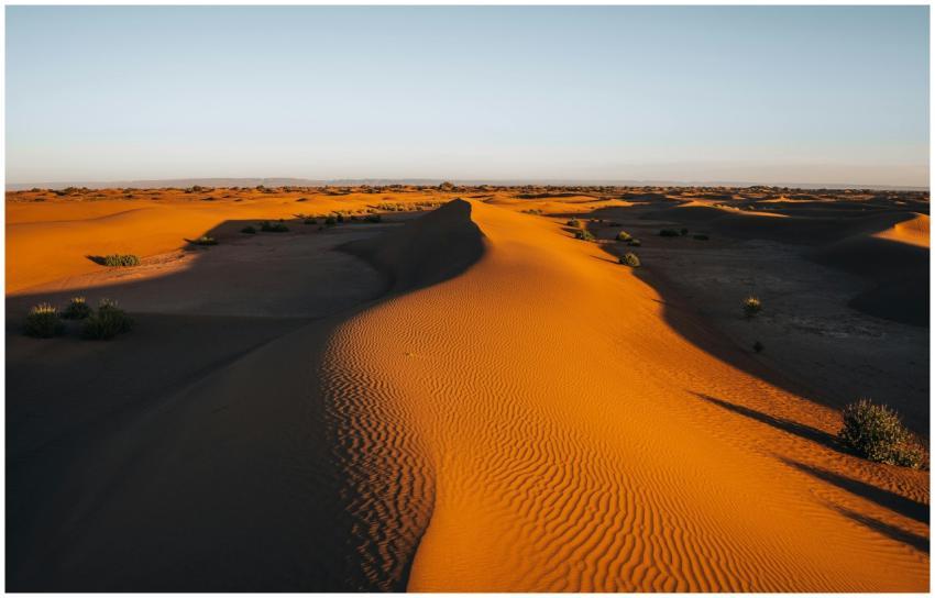 Sunlit sand dunes in the Moroccan Sahara casting l