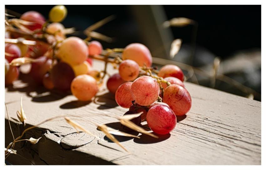 Grapes Fruits Produce Hd Wallpaper