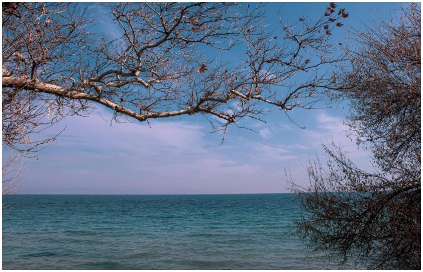 Beautiful view of the Aegean Sea through leafless