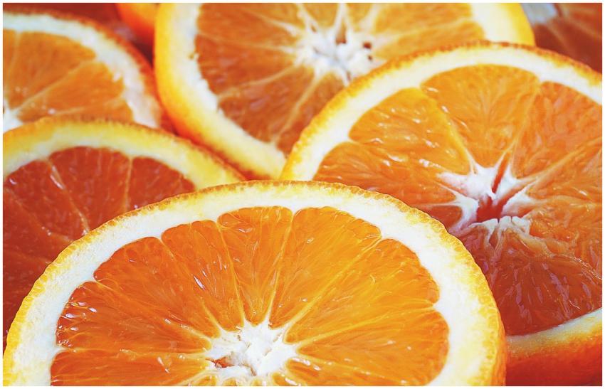 Vivid close-up of freshly sliced oranges showcasin