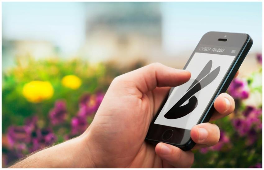 Close-up of a hand holding a smartphone with a blu