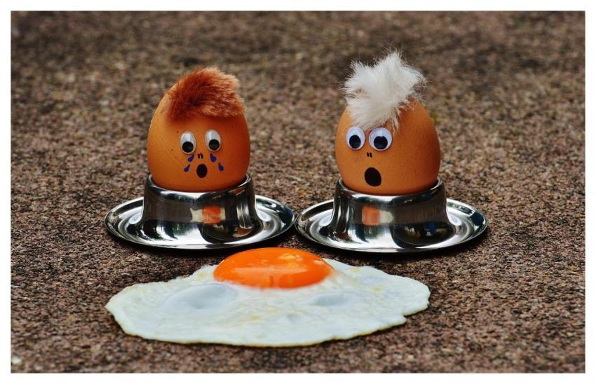 Eggs Fried Egg Grief Fun
