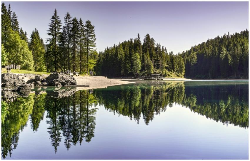 Tranquil summer view of a forest lake with clear r