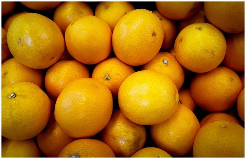 A close-up view of fresh oranges showcasing vibran