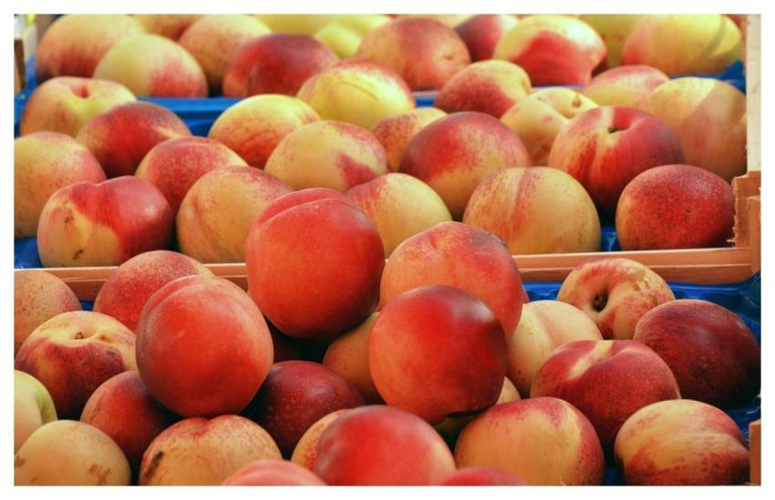 Peaches Fruit Food Juicy