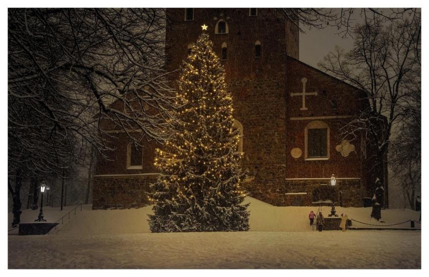 Christmas Tree Holiday Season Christmas