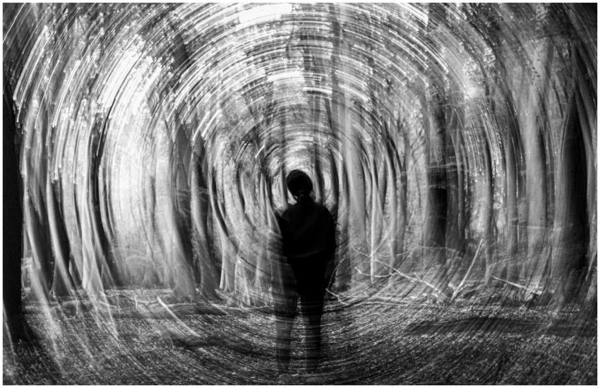 Free stock photo of black and white, branch, dark