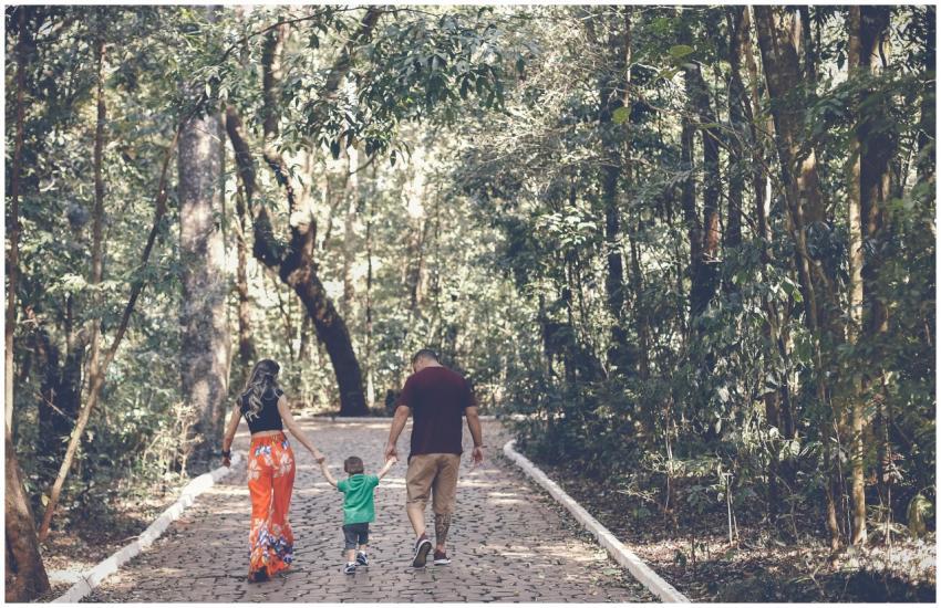 Family walking hand in hand on a forest path, enjo