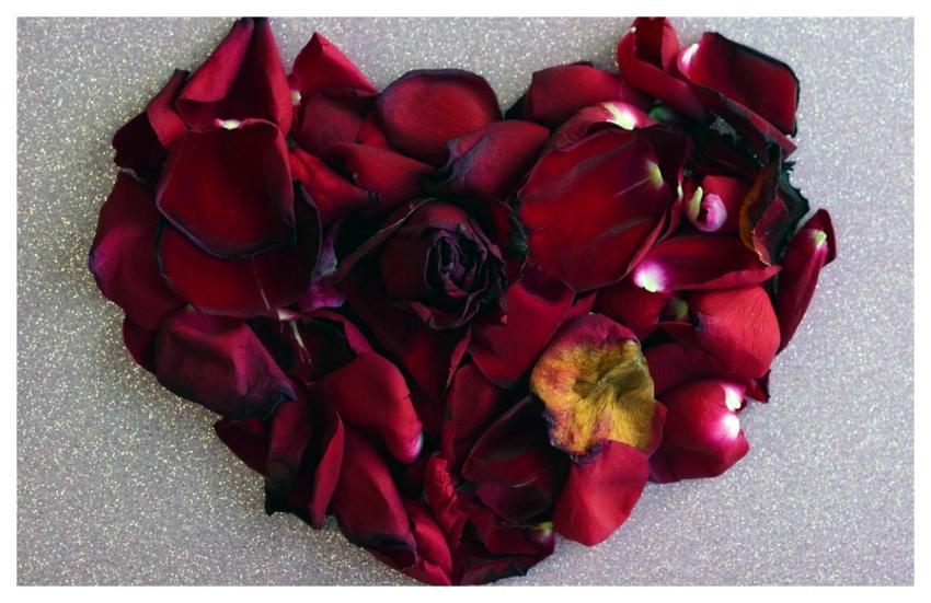 Heart Roses Petals Red