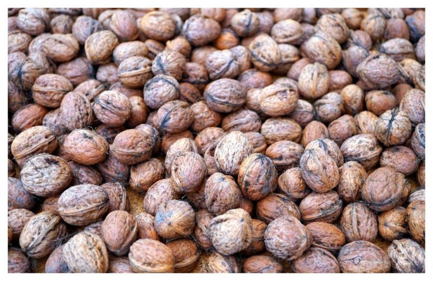 Nuts Walnuts Harvest Nutshell