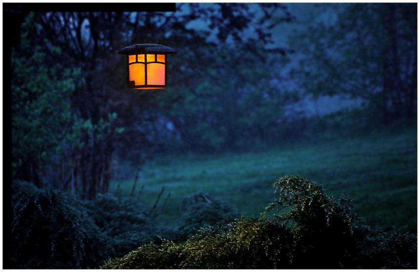 Serene outdoor night scene with a glowing lamp ill