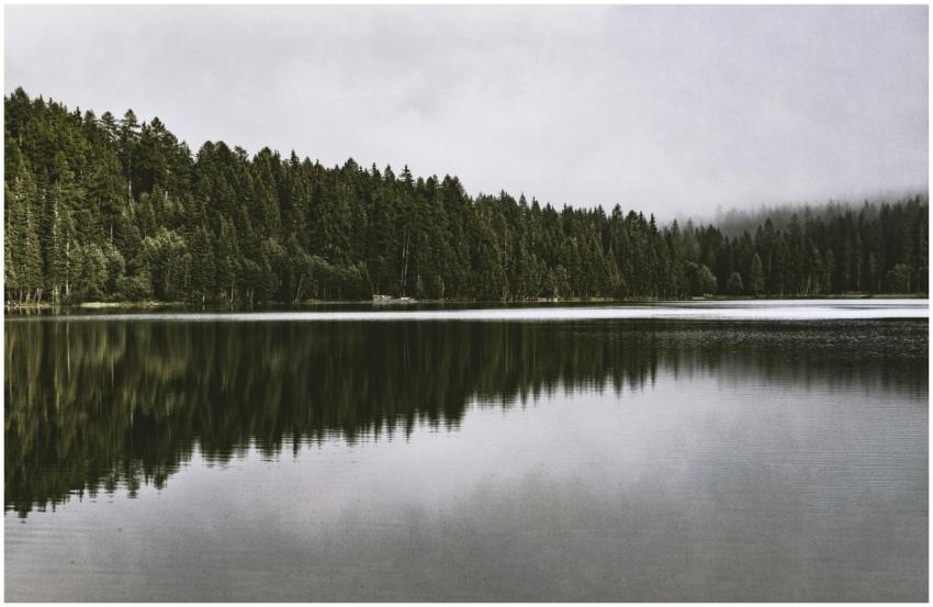 Discover tranquility with this serene lakeside for