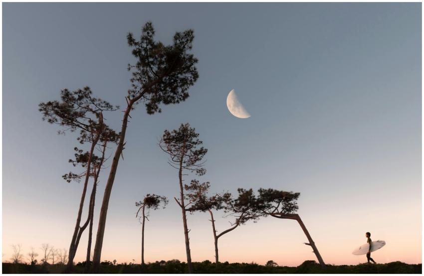 A lone surfer walks under a twilight sky with a ha