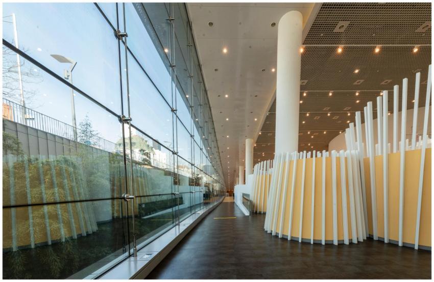 Explore a sleek and modern hallway with glass wall