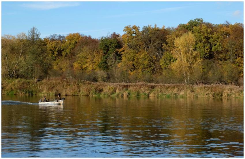 Autumn Boat Ride Serene