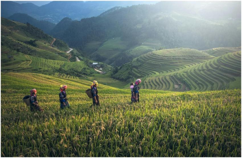 Scenic view of rice terraces with farmers in tradi