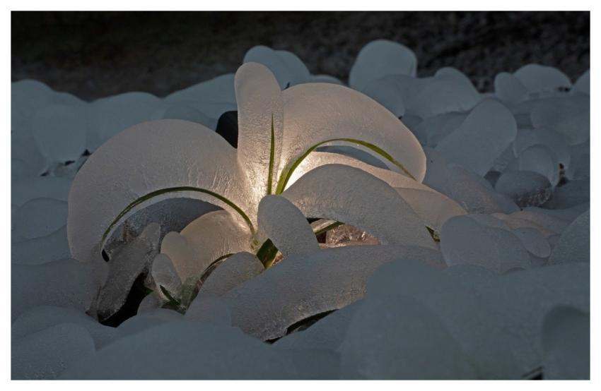 Icy Ice Sculpture Nature Frozen