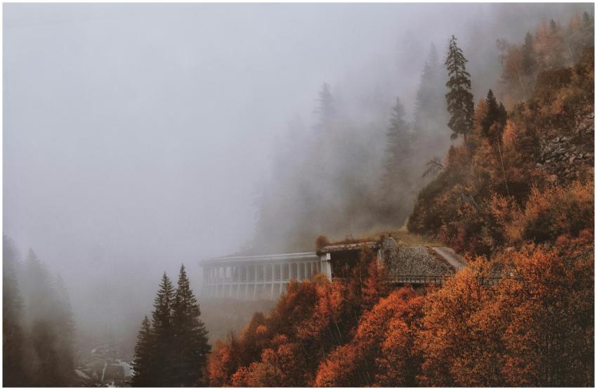 A misty mountain road winds through vibrant autumn