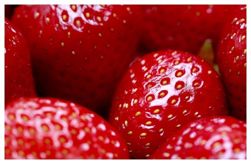 Fruit Strawberries Windows Wallpaper Wallpaper Hd